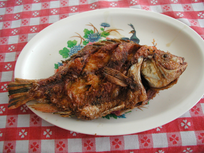 Fish on Plate