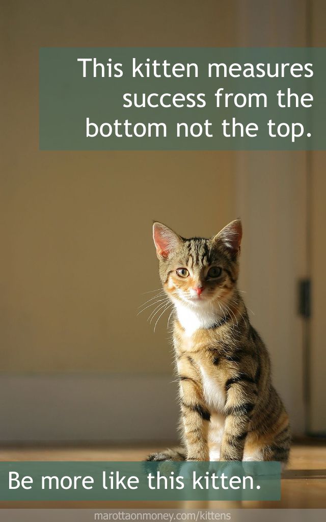 This kitten measures success from the bottom not the top.