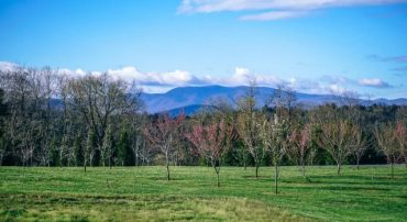 Radio: Virginia Land Preservation Tax Credits