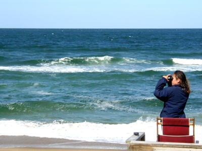Lifeguard with Binoculars