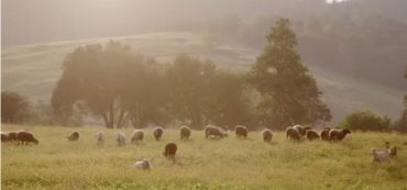 Documentary: Farming in Fear